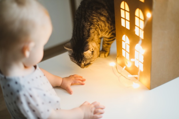 Niña jugando con gato en la acogedora sala de estar en casa