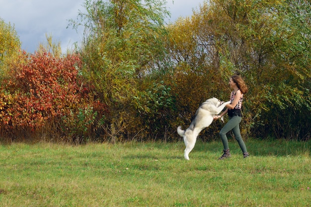 Niña jugando con perro husky en el parque de la ciudad. Trotar con perro.