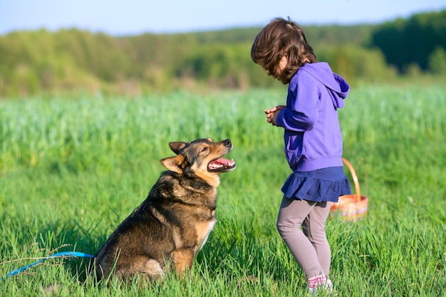 Niña jugando con un perro en el prado