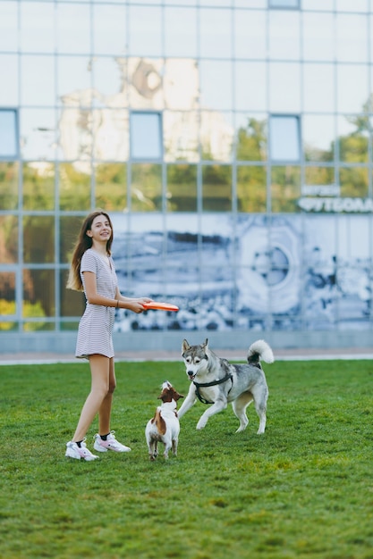 Niña lanzando un disco volador naranja a un pequeño perro gracioso, que juega con husky en la hierba verde. Pequeño Jack Russel Terrier y mascota perro esquimal jugando al aire libre en el parque. Perro y dueño al aire libre.