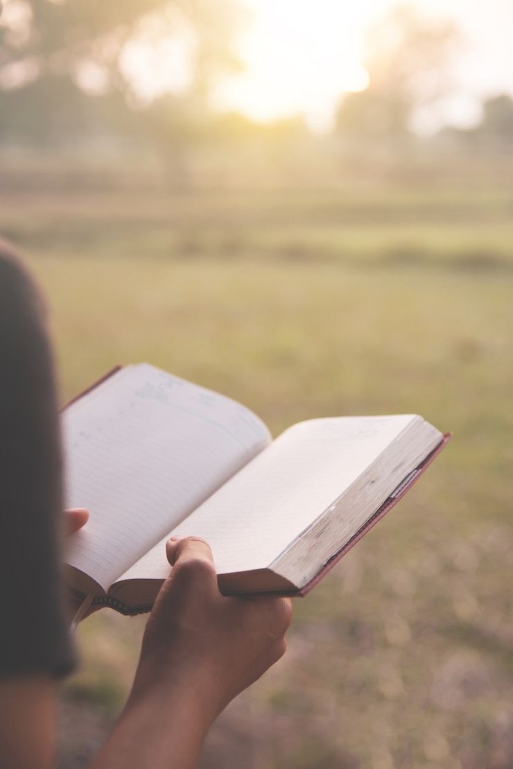 Foto niña leyendo un libro sobre fondo de campo.