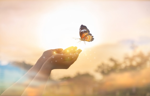 La niña libera a la mariposa del momento Concepto de libertad