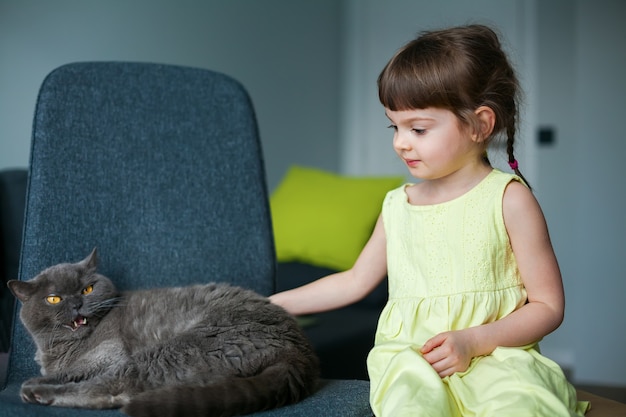 Niña linda acariciando a su gato británico gris