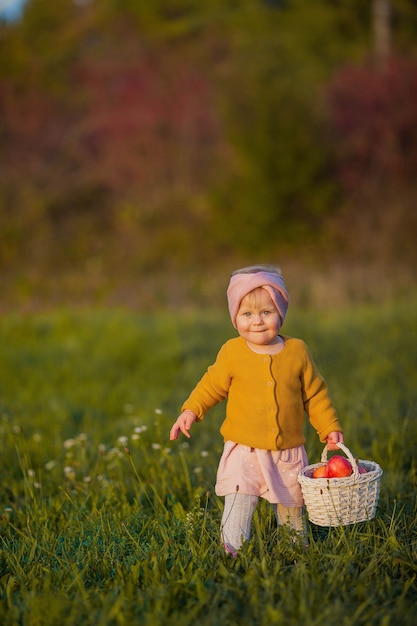 Niña linda camina en el jardín de otoño, sostiene una canasta con manzanas rojas. Retrato de una niña feliz en ropa de otoño brillante. Otoño cálido y luminoso.