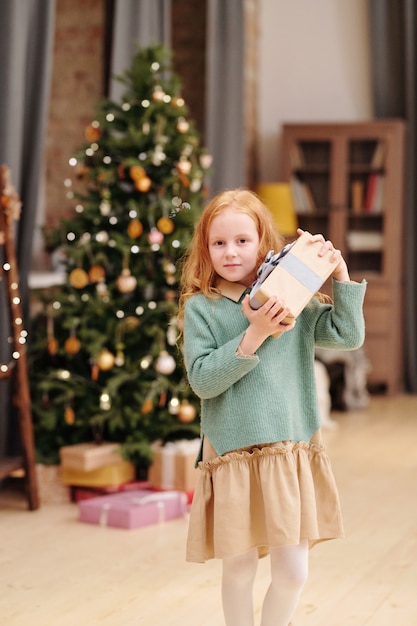 Niña linda y curiosa sosteniendo giftbox con regalo de Navidad por su oreja como si adivinara lo que hay dentro mientras está de pie contra el decorado firtree