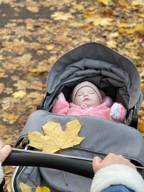 Una niña linda durmiendo en un cochecito en el parque de otoño