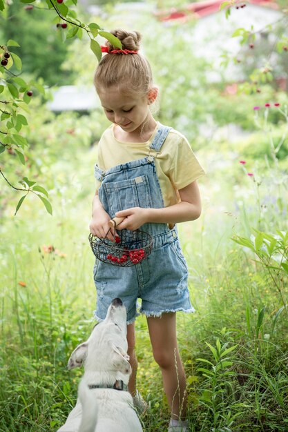 Niña linda escoge una cereza de un árbol en el jardín de cerezos