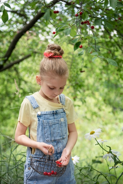 Niña linda escoge una cereza de un árbol en el jardín de cerezos