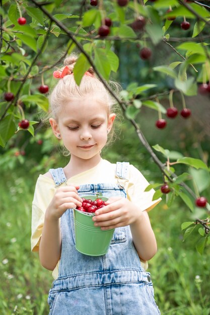 Niña linda escoge una cereza de un árbol en el jardín de cerezos