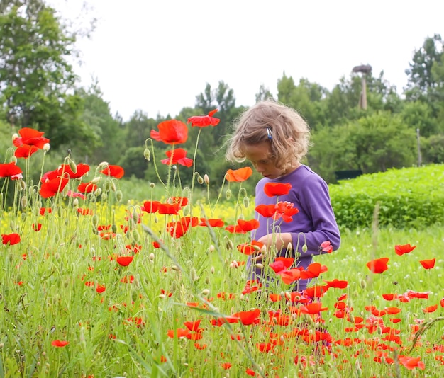 Niña linda jugando al aire libre en un prado con amapolas rojas florecientes en verano en el campo