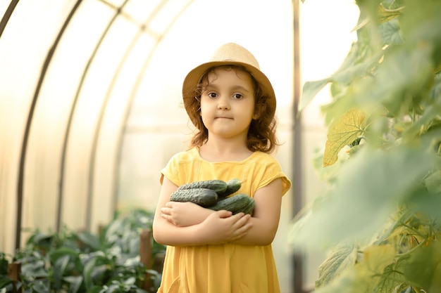 Foto niña linda niña recogiendo pepinos maduros en invernadero de huerta