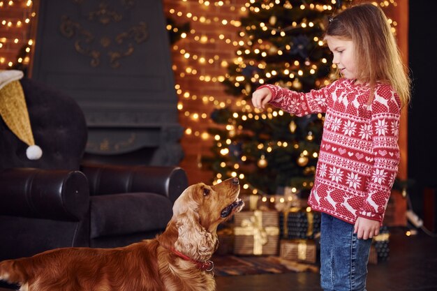 Niña linda con perro juntos en la habitación decorada de Navidad.