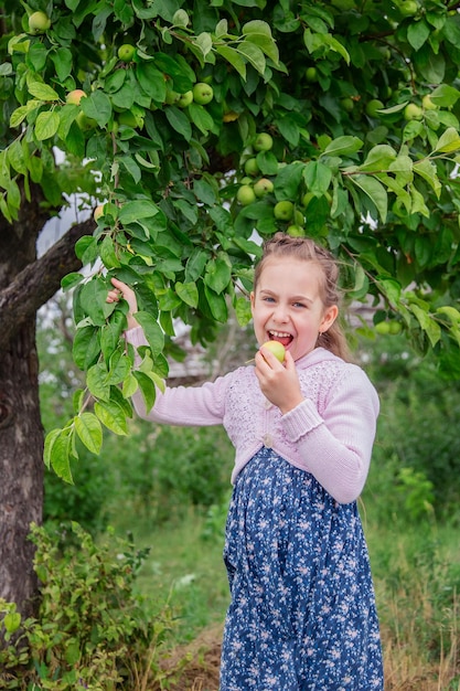 Niña linda en las ramas de un manzano en un día soleado de verano