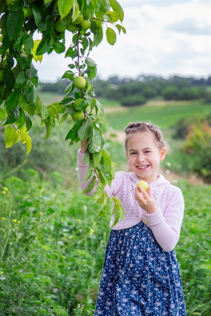 Niña linda en las ramas de un manzano en un día soleado de verano