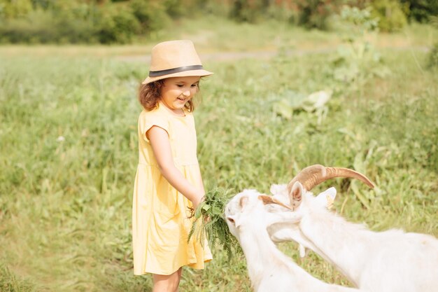 Niña linda con vestido amarillo y sombrero alimentando cabras en la granja en el campo del pueblo