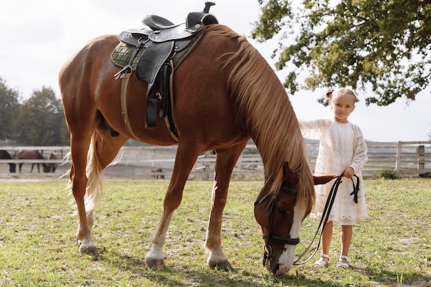 Foto niña linda en vestido blanco acariciando un caballo en el campo en la granja en un hermoso día de verano.