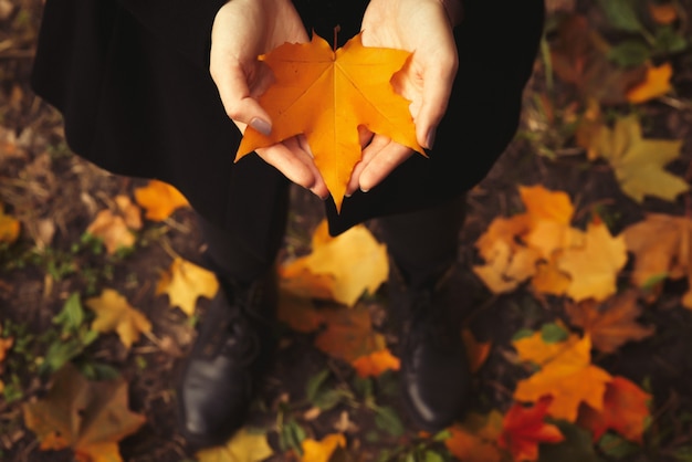 La niña con las manos abiertas sostiene una hoja amarilla en el bosque. Fondo de otoño.