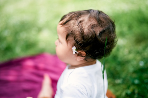 Niña con una manzanilla detrás de la oreja se sienta en la vista superior del césped