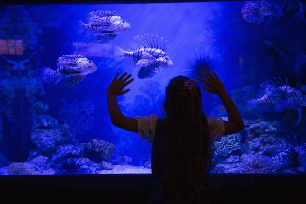 Niña mirando la pecera en el acuario