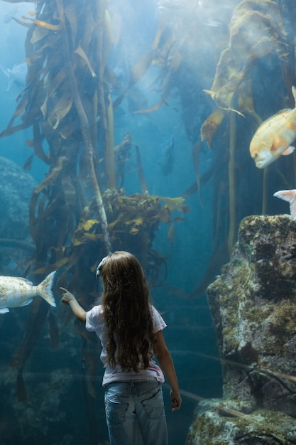 Niña mirando el tanque de peces