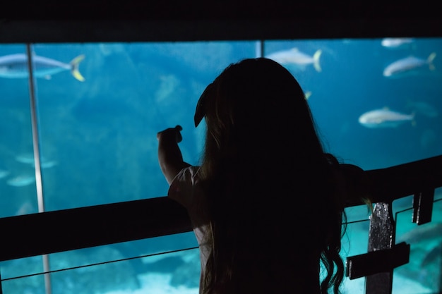 Niña mirando el tanque de peces