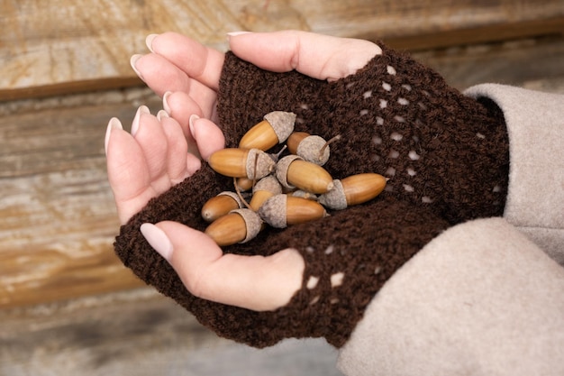 Una niña en mitones sostiene bellotas en sus palmas en el otoño