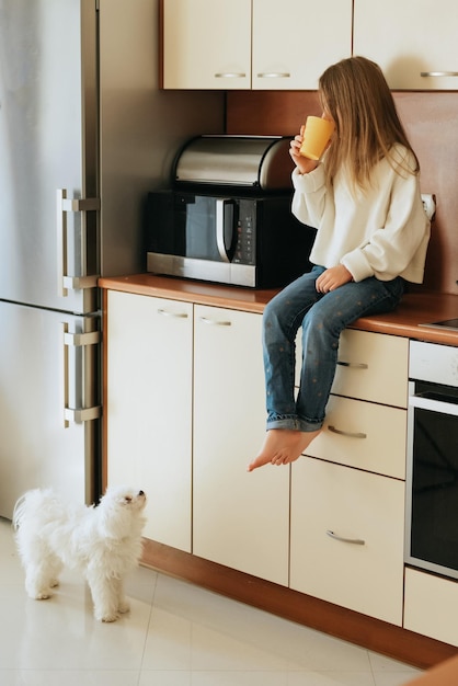 niña modelo juega con mascota perro blanco colegiala maltesa en casa estilo de vida en cocina beige