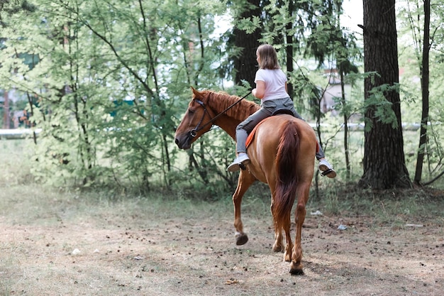 Una niña monta un caballo en el caluroso verano en el bosque.