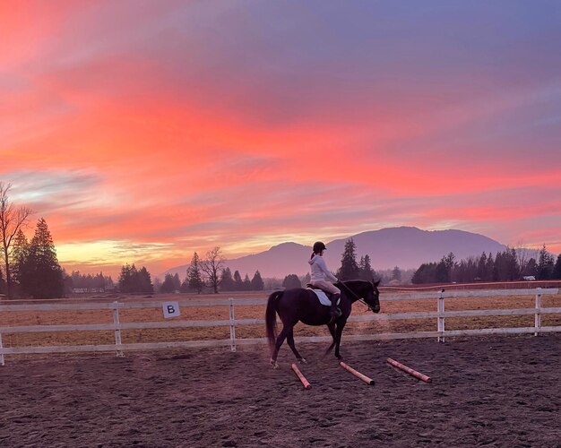 Foto niña montando a caballo en la arena sobre postes de trote contra el cielo durante la puesta de sol