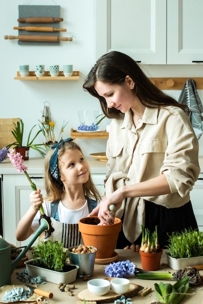 Niña y mujer trasplantan flores y plantas de interior plantan bulbos jacintos microgreens juntos