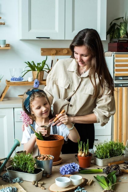 Niña y mujer trasplantan flores y plantas de interior plantan bulbos jacintos microgreens juntos