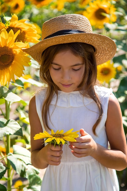 Niña niña en un campo de girasoles. Enfoque selectivo. Niño.