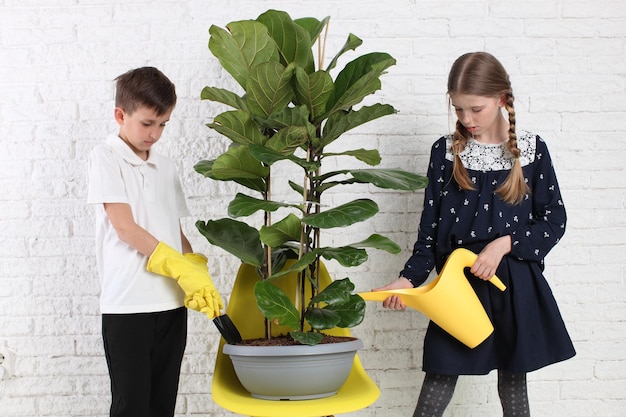 Niña y niño regando planta de interior