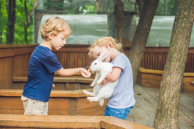 Foto niña y niño son alimentados con conejos en el zoológico interactivo