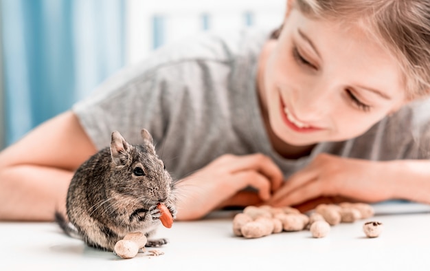 Niña observa la ardilla degu