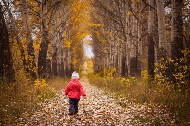 niña, en, otoño, parque, espalda