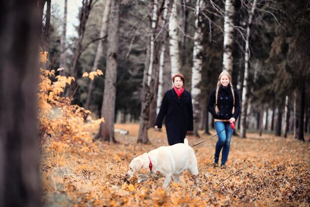 Niña en un paseo por el jardín de otoño