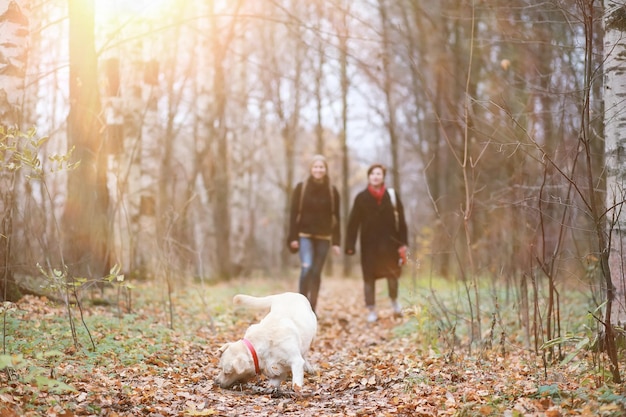 Niña en un paseo por el jardín de otoño