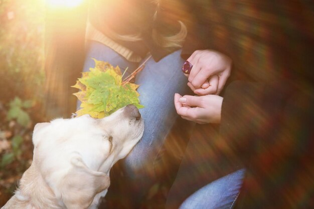 Niña en un paseo por el jardín de otoño