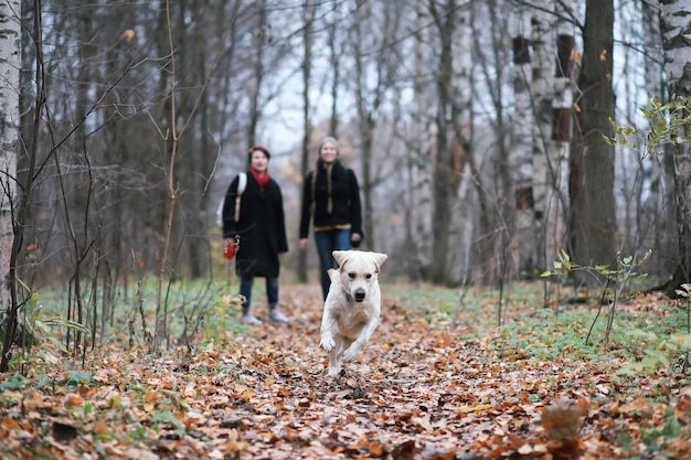 Niña en un paseo por el jardín de otoñoxA