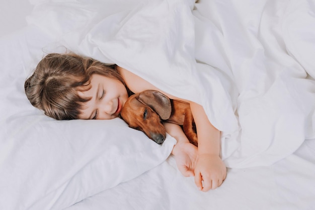 la niña pequeña abraza al perro dachshund en casa en la cama. ropa de cama blanca. amor por las mascotas