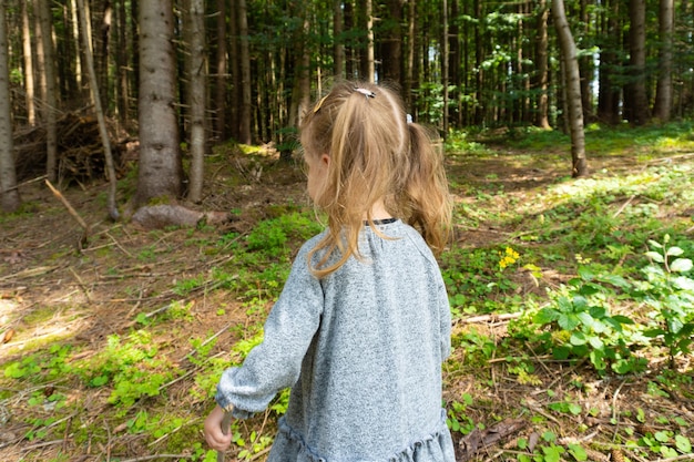 Niña pequeña caminando en el bosque de pinos en verano