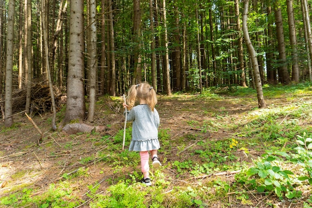 Niña pequeña caminando sola en el pino. Senderismo de verano viajando