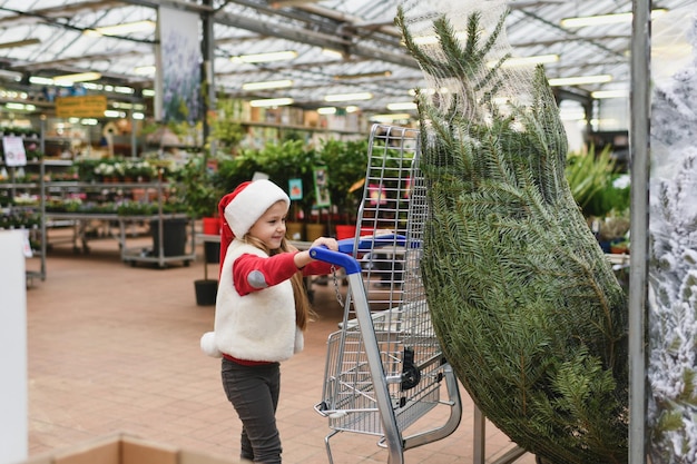 Niña pequeña elige un árbol de navidad en el mercado