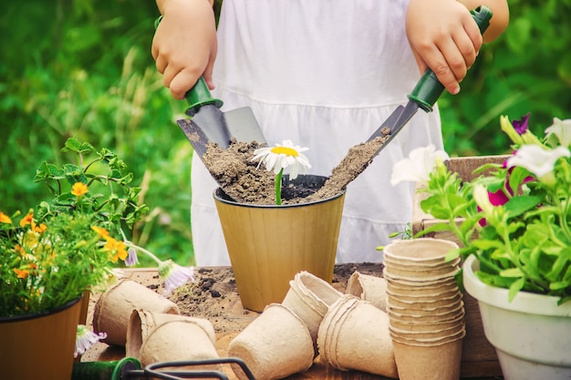 Una niña pequeña está plantando flores. El joven jardinero. Enfoque selectivo