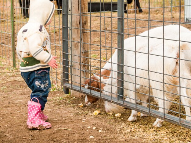 Niña pequeña en la granja.