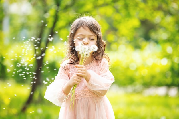 Niña pequeña linda y hermosa con un montón de dientes de león soplando sobre ellos en la naturaleza