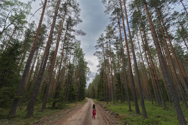 Una niña pequeña se perdió sola en el bosque en un día de verano vista desde atrás foto de alta calidad