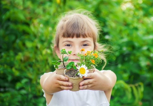 Foto una niña pequeña está plantando flores. el joven jardinero. enfoque selectivo