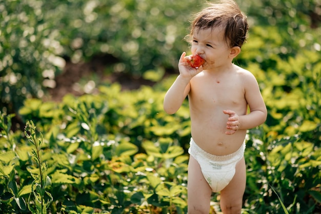 Una niña pequeña que usa solo un pañal sabe dulces fresas maduras en el jardín del pueblo